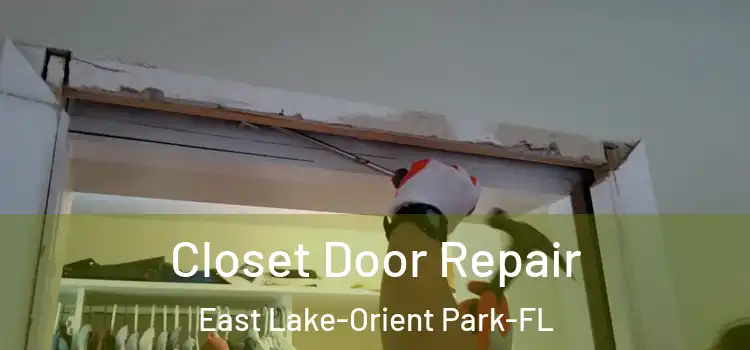  Closet Door Repair East Lake-Orient Park-FL