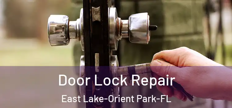 Door Lock Repair East Lake-Orient Park-FL