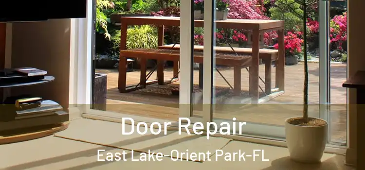  Door Repair East Lake-Orient Park-FL