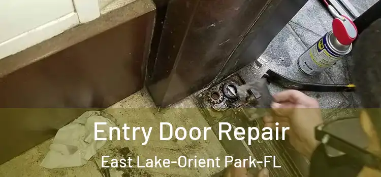  Entry Door Repair East Lake-Orient Park-FL