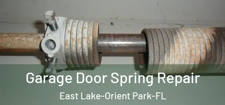  Garage Door Spring Repair East Lake-Orient Park-FL