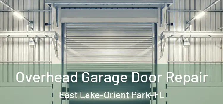  Overhead Garage Door Repair East Lake-Orient Park-FL