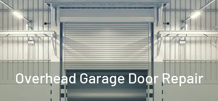  Overhead Garage Door Repair 