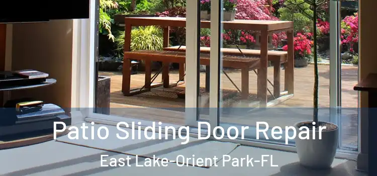  Patio Sliding Door Repair East Lake-Orient Park-FL
