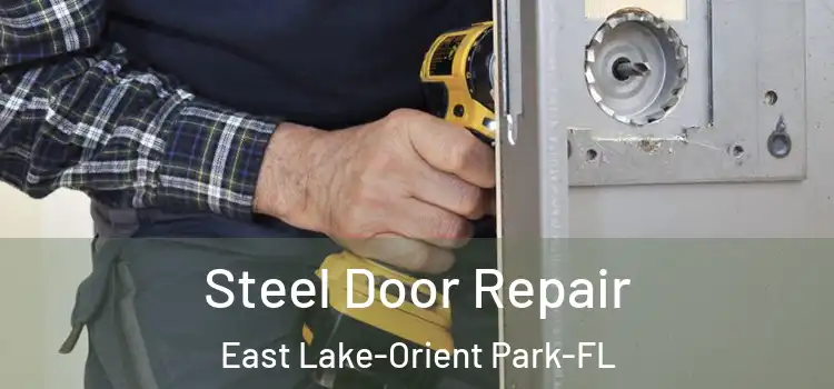  Steel Door Repair East Lake-Orient Park-FL